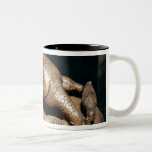 The Golden Hen and her Chicks Two-Tone Coffee Mug