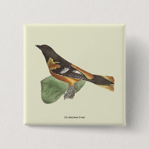 The Golden or Baltimore Oriole (Icterus galbula) 2 Inch Square Button