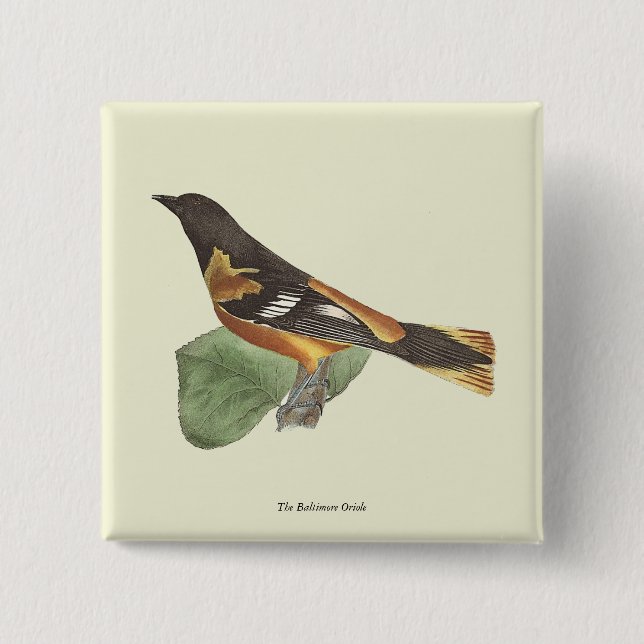 The Golden or Baltimore Oriole (Icterus galbula) 2 Inch Square Button (Front)