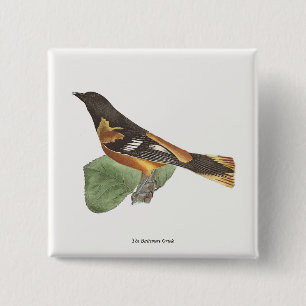 The Golden or Baltimore Oriole (Icterus galbula) 2 Inch Square Button