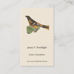 The Golden or Baltimore Oriole (Icterus galbula) Business Card