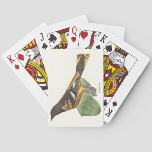 The Golden or Baltimore Oriole (Icterus galbula) Playing Cards