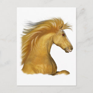 The Golden Palomino Postcard