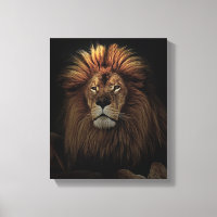 The Golden Proud  Lion Africa