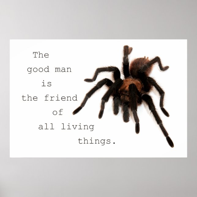 The Good Man Poster (Front)