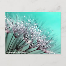 The Good Morning of Flowers