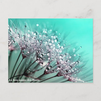 The Good Morning of Flowers Announcement Postcard