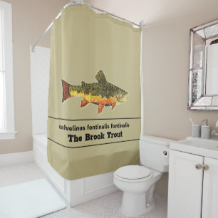 The Gorgeous Brook Trout for Fly Fishing Fans