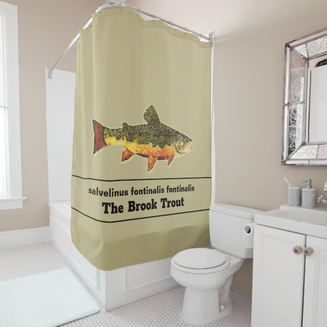 The Gorgeous Brook Trout for Fly Fishing Fans (In Situ)