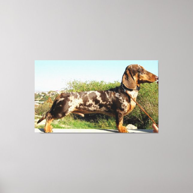 The Grand Dachshund Canvas Print (Front)