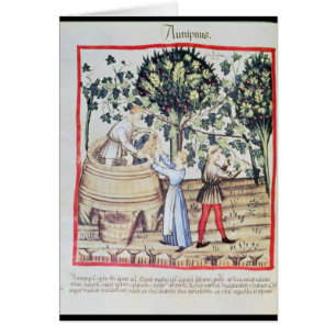 The Grape Harvest, 13th century