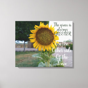  The Grass Is Always Greener Sunflower Canvas Art