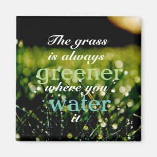 The grass is always greener where you water it magnet