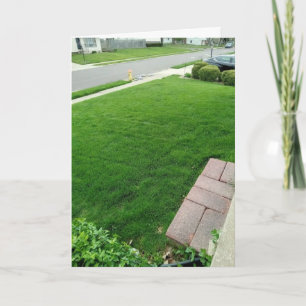 The Grass is Green CARD