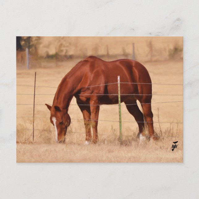 The Grass is greener... Postcard (Front)