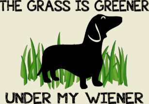 Grass Is Greener Gifts On Zazzle Ca