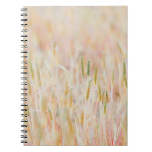 THE GRASSLAND WAS TURNED INTO PASTEL-COLORED BY HE NOTEBOOK