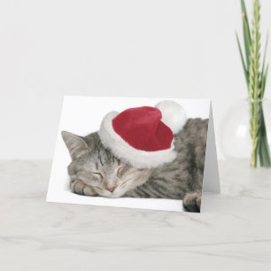 The Gray Cat Sleeps In A New Year's Cap Holiday Card