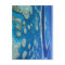 The Great Barrier Reef