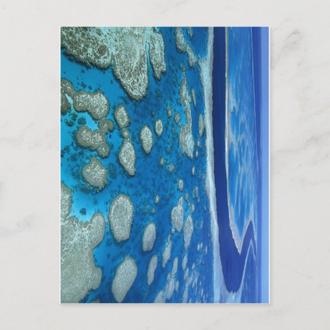 The Great Barrier Reef Postcard (Front)