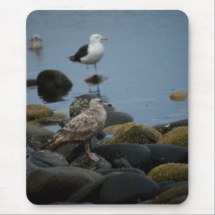 The Great Black-backed Gull Mousepad