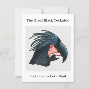 The Great Black Cockatoo by Francois Levaillant. Postcard