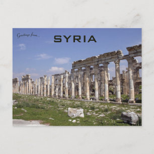 The Great Colonnade at Apamea Syria Postcard