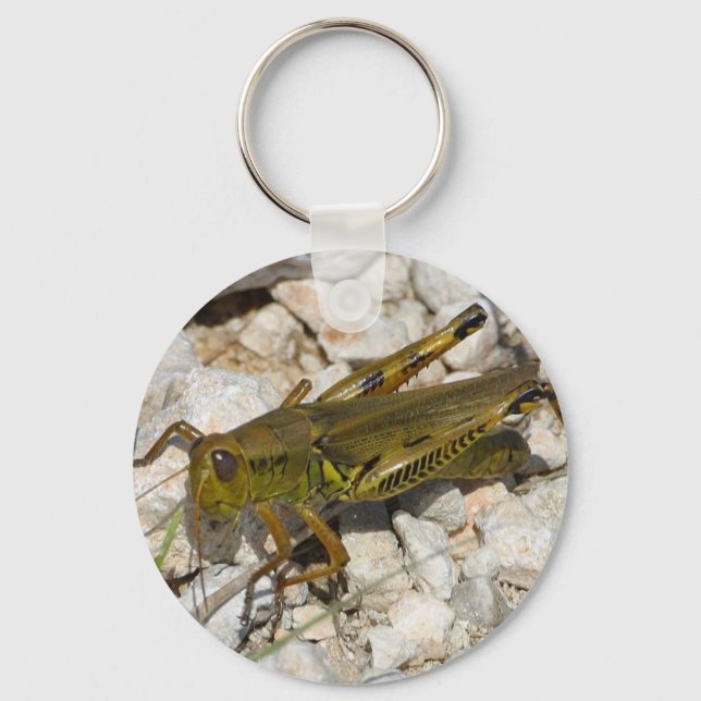 the Great Grasshopper  ! Keychain (Front)