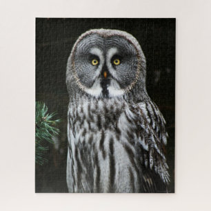 The Great Grey Owl 16x20 520pc jpcnm Jigsaw Puzzle
