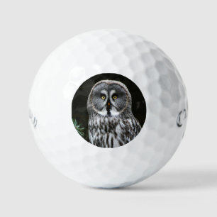 The Great Grey Owl css gbcna Golf Balls