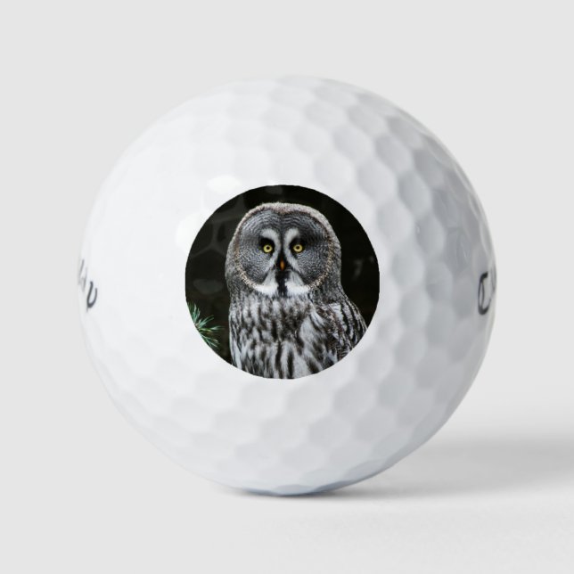 The Great Grey Owl cwb gbcna Golf Balls (Front)