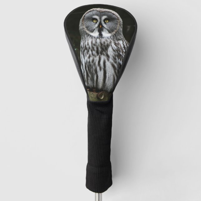 The Great Grey Owl dccna Golf Head Cover (Front)