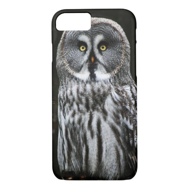 The Great Grey Owl iph arc2 Case-Mate iPhone Case (Back)
