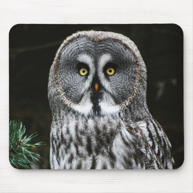 The Great Grey Owl mpcnm Mouse Pad (Front)