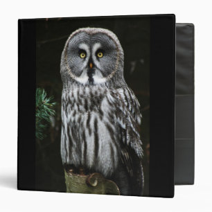 The Great Grey Owl rbcnm Binder