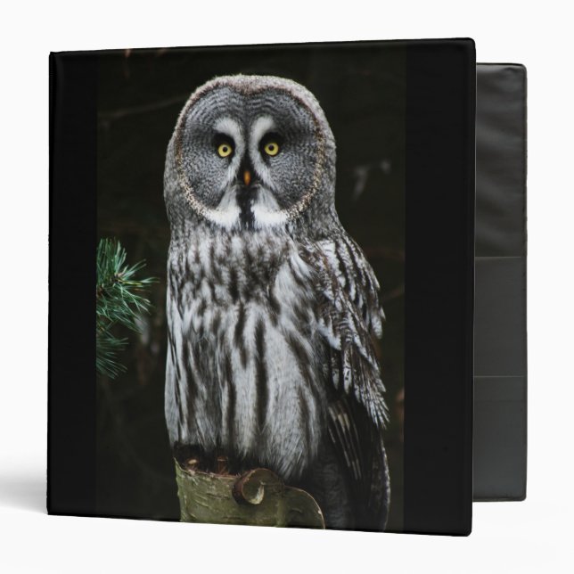 The Great Grey Owl rbcnm Binder (Front/Inside)