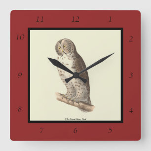 The Great Grey Owl (Strix nebulosa) NY Bird Image Square Wall Clock