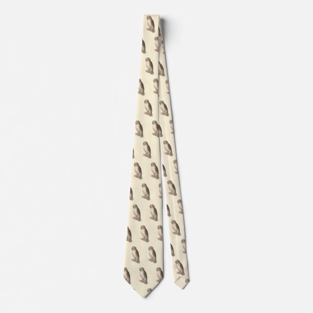 The Great Grey Owl (Strix nebulosa) NY Bird Image Tie (Front)