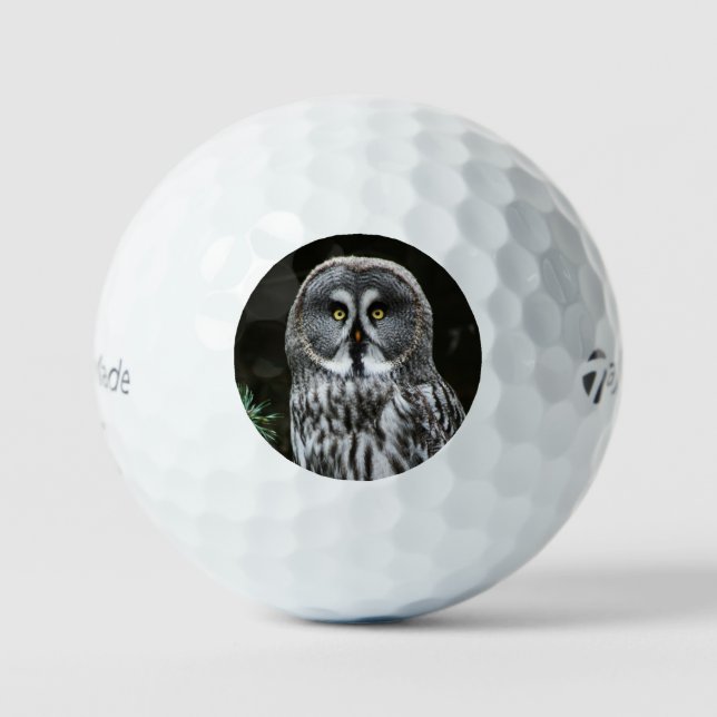 The Great Grey Owl tmtp5 gbcnm Golf Balls (Front)