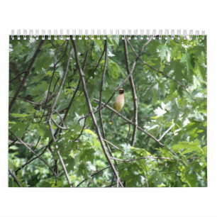 The great outdoors calendar