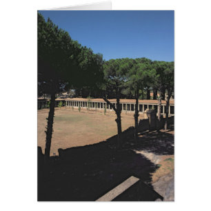 The Great Palaestra