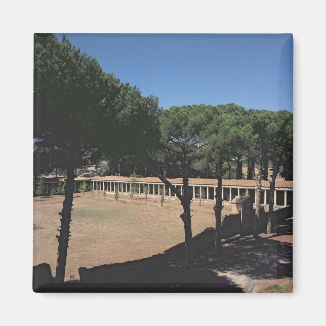 The Great Palaestra Magnet (Front)