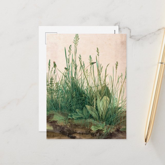 The Great Piece of Turf by Albrecht Durer Holiday Postcard (Front/Back In Situ)