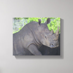 THE GREAT RHINO CANVAS PRINT