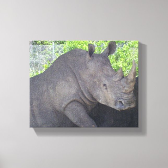 THE GREAT RHINO CANVAS PRINT (Front)