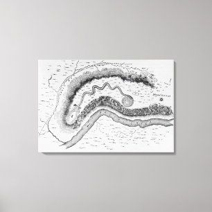 The Great Serpent Mound Canvas Print