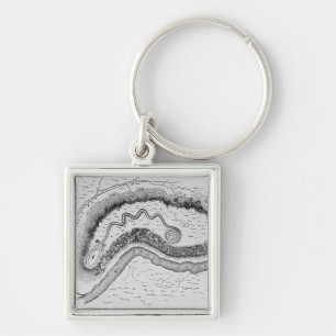 The Great Serpent Mound Keychain