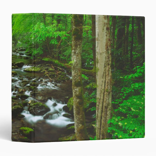 The Great Smoky Mountains Binder (Front/Spine)
