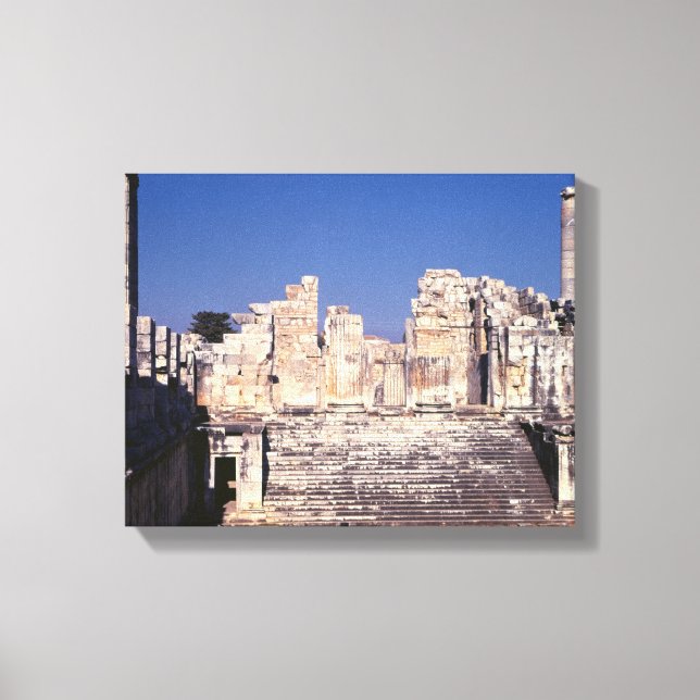 The Great Staircase of the Temple of Apollo Canvas Print (Front)