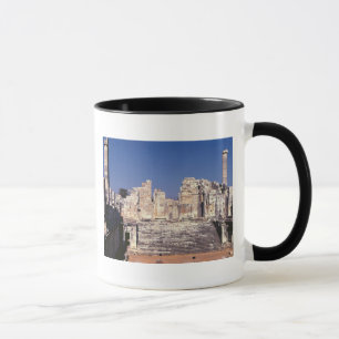 The Great Staircase of the Temple of Apollo Mug